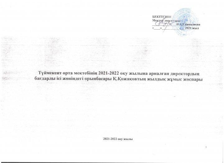 Бағдарлы ісі жөніндегі орынбасарының жылдық жұмыс жоспары